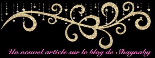 Un nouvel article sur le blog de Shaynaby