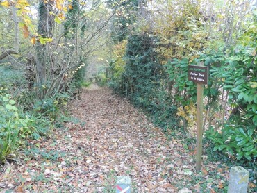 Dans le Bois de Vasterival