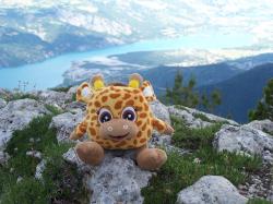 mascotte en montagne