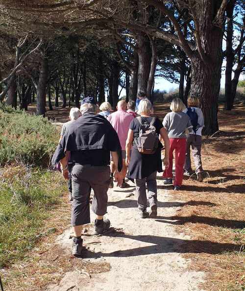 Rando à Locmariaquer le 14 10 2023 .20 randonneurs ont marché 11,400 km .