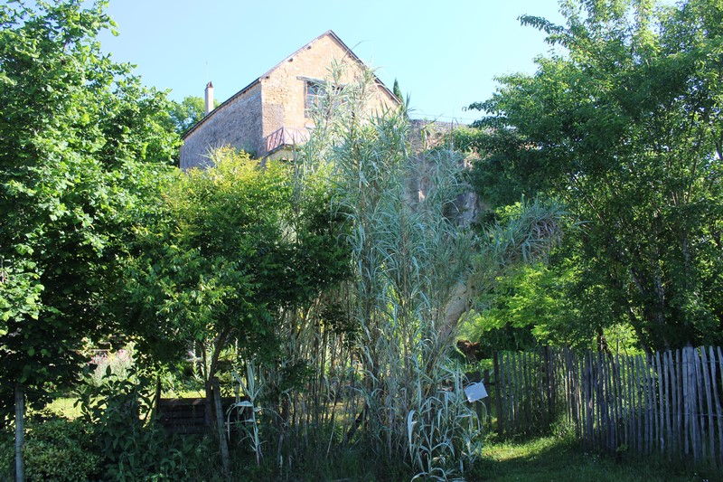 Montfort