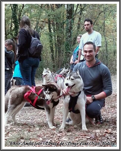 Cani-rando de Moulayrès (25 octobre 2015)