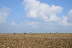 La randonnée du 10 octobre à Ver-sur-mer