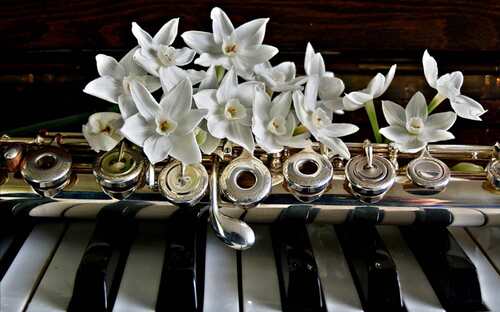 Instruments et fleurs