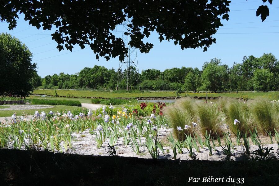 le parc floral de Bordeaux dept 33 (2)