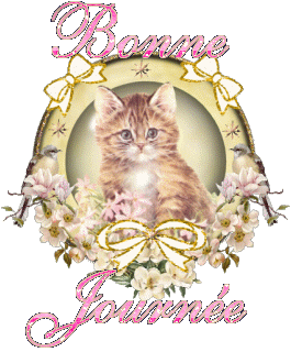 Résultat de recherche d'images pour "bonne journee gif chat"