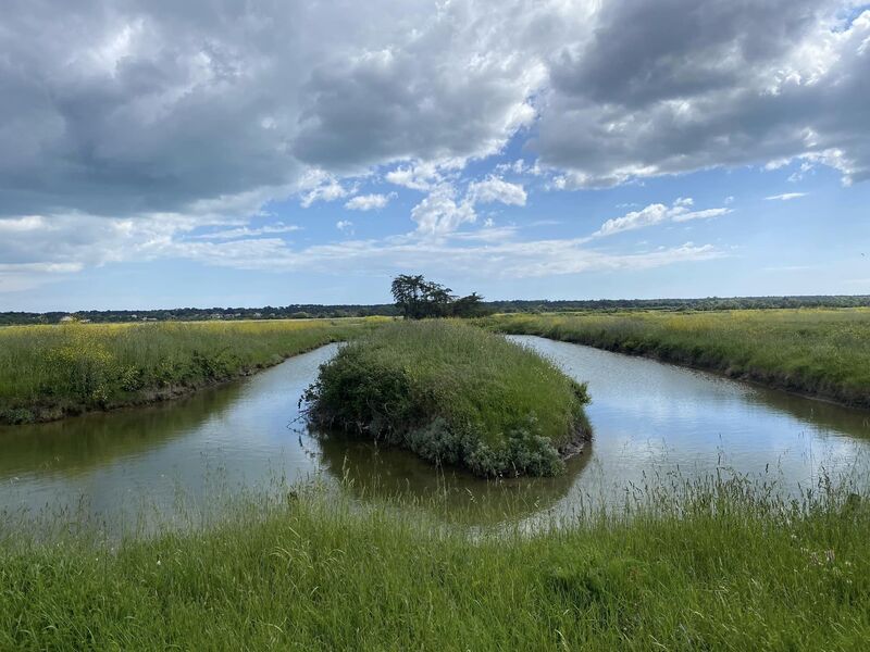 La Vendée (suite)