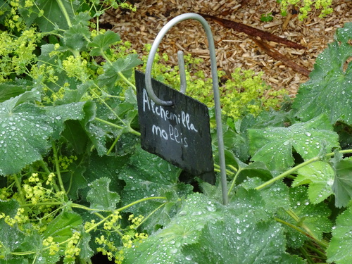 Le jardin des Renaudies (Mayenne)