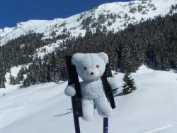 mascotte en montagne