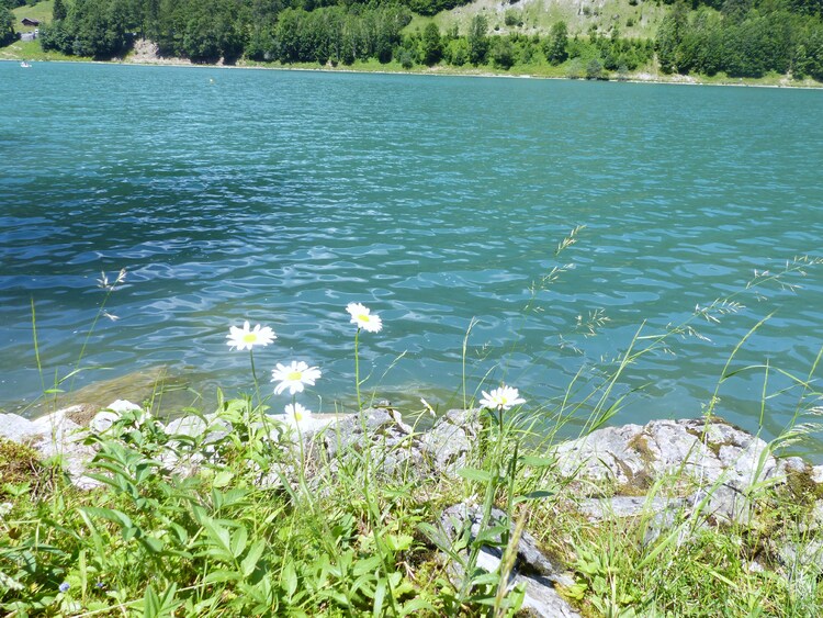 La Lac d Montriond..