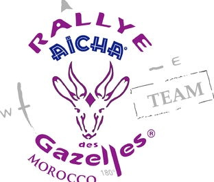 logo_team_violet-