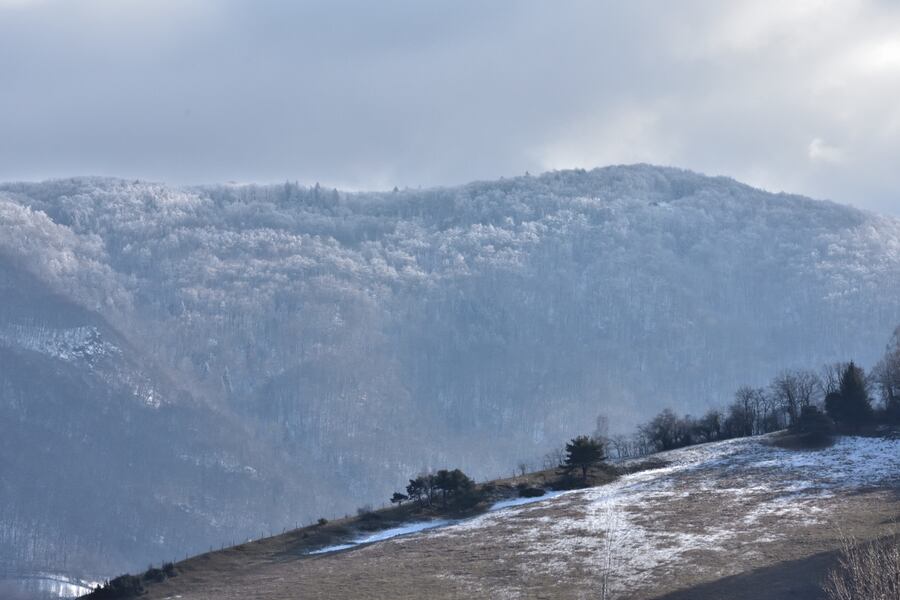 2019.02.12 Village de Brié et Angonnes (département de l'Isère)2