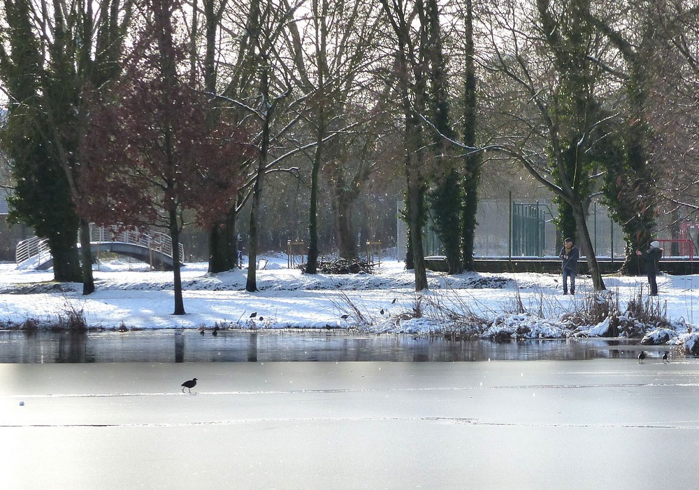 Amiens sous la neige (3)