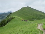 Du 29 juin au 4 juillet Le Beaufortain