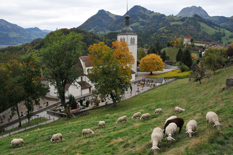 Visite à Gruyères (2)