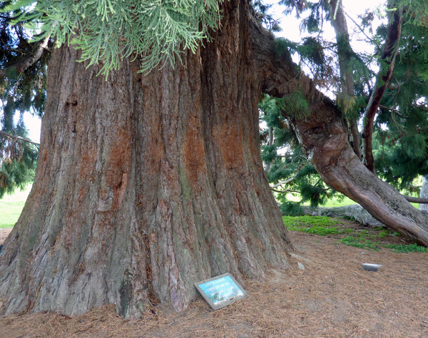 Le Parc Culturel de Rentilly