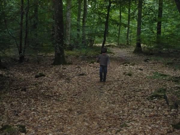 Foret-de-Loches-01.jpg