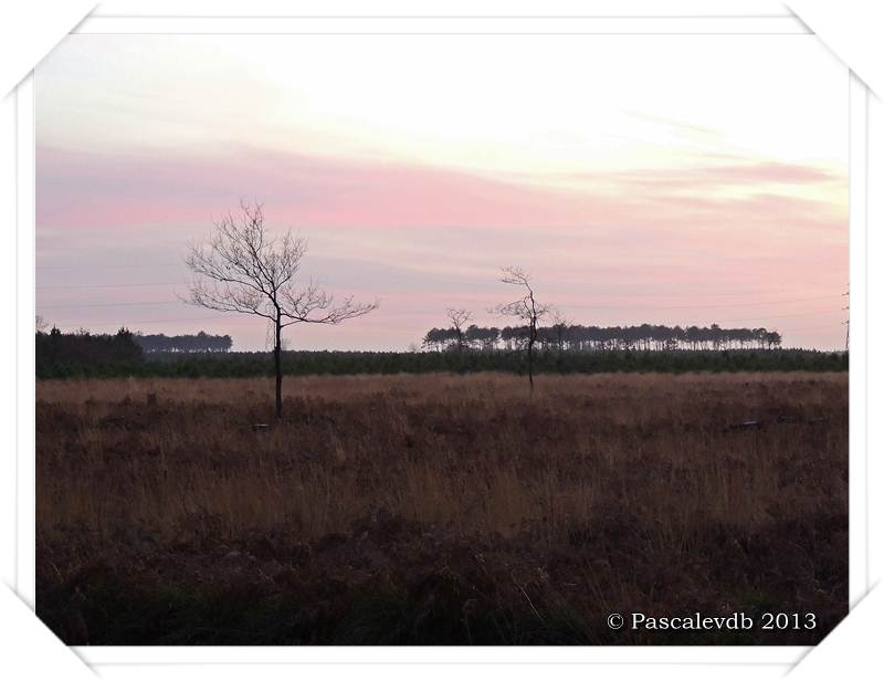 Brumes matinales, levers et couchers de soleil sur Le Barp - 1/2