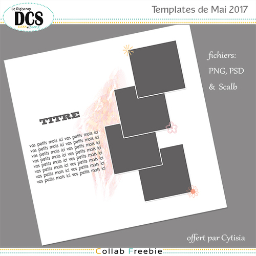 DCS Template Mai 2017