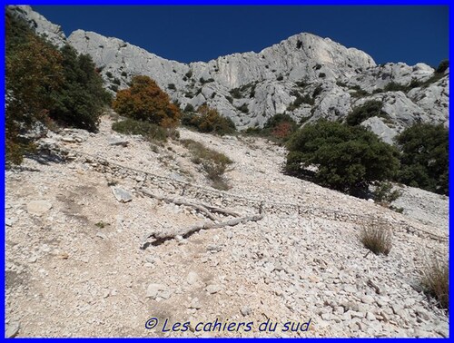 Ste Victoire, le sentier des Cantilènes