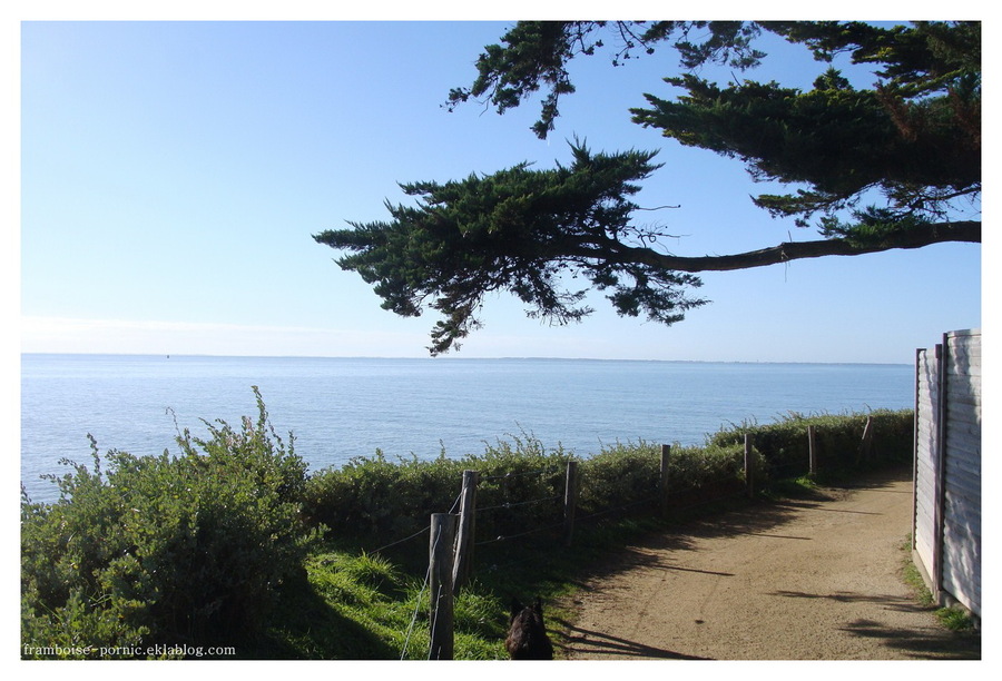 Sainte Marie sur Mer 