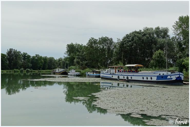 Ballade en vélo sur la voie verte.