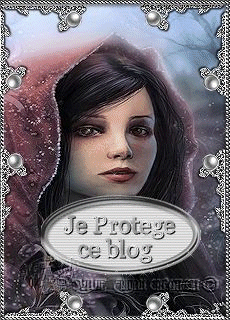 Protèges blog série 11