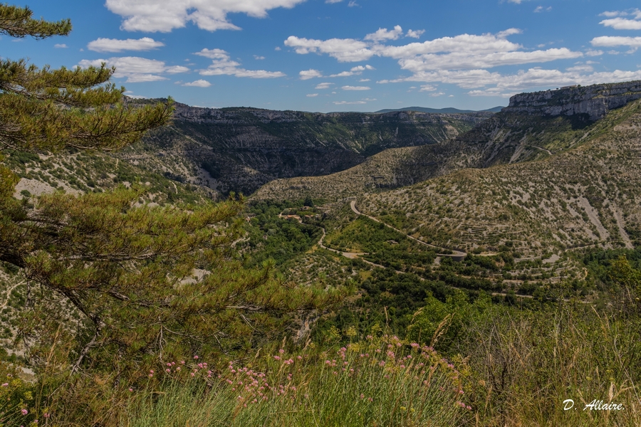 Larzac & C°.