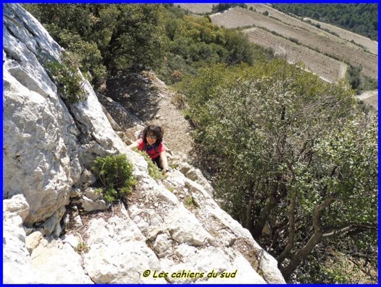 Monts de Gigondas, la dent du Turc