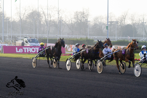 Prix des Vosges