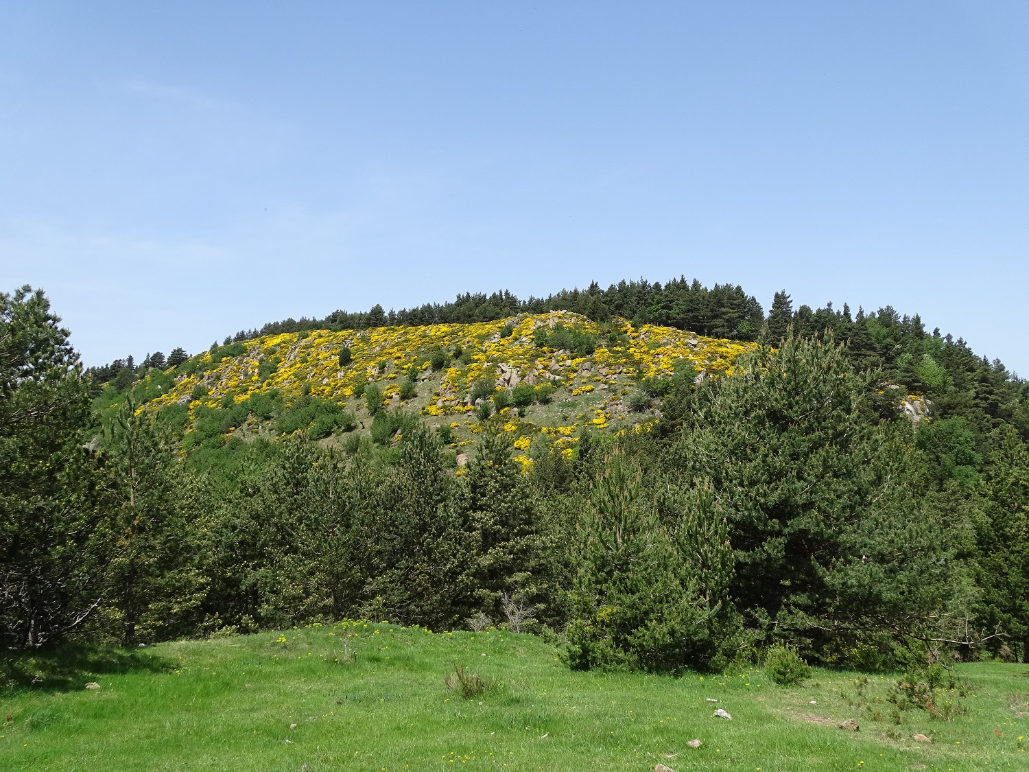 Le Puig del Rocater