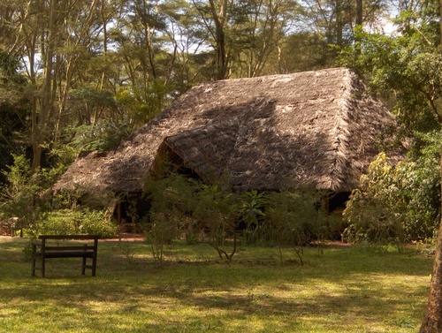 Bungalow restaurant du Mingunga Forest Camp