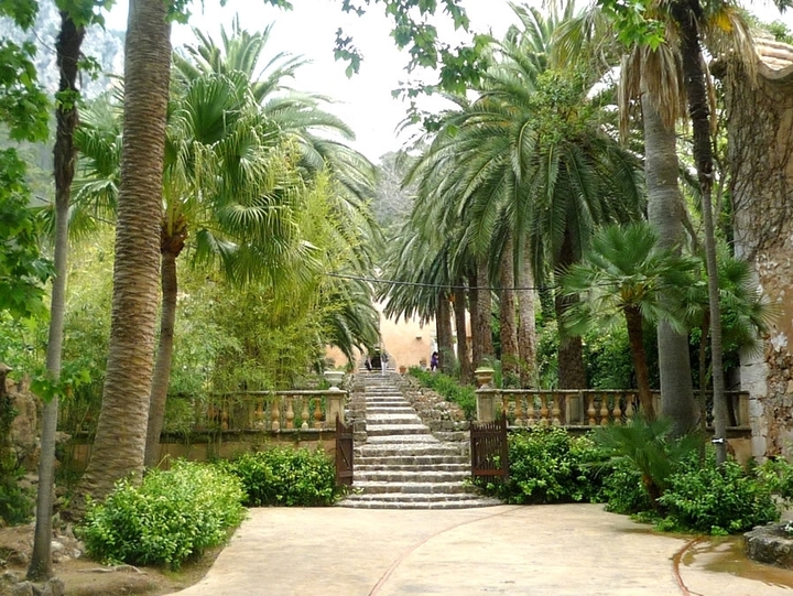 les jardins d'alfabia