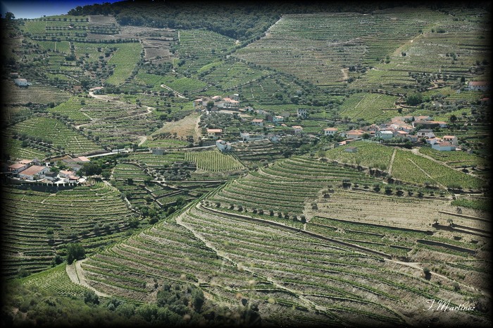 portugal 2012 la vallée du douro