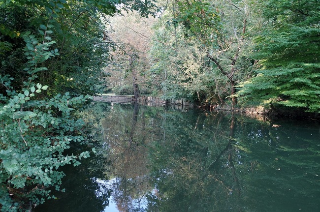 Val d'Yerres: promenade à l'île Panchout