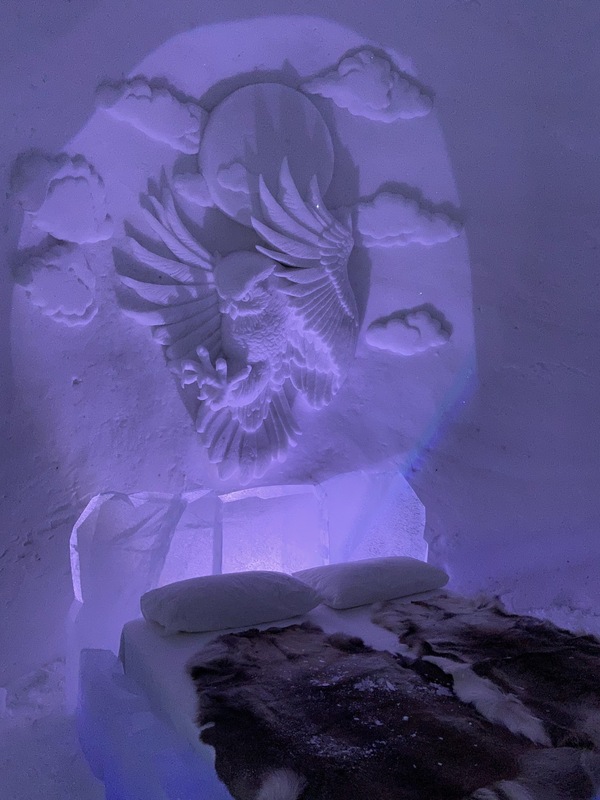 Visite des dômes de glace 