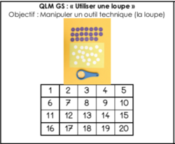 Utiliser une loupe (fiche de suivi)