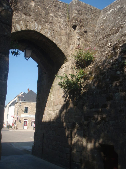 FLEURS SUR MURS EN BRETAGNE