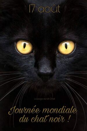 Journée mondiale du chat noir