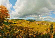 Campagne