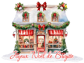Réception Marché de Noël - Brigitte -