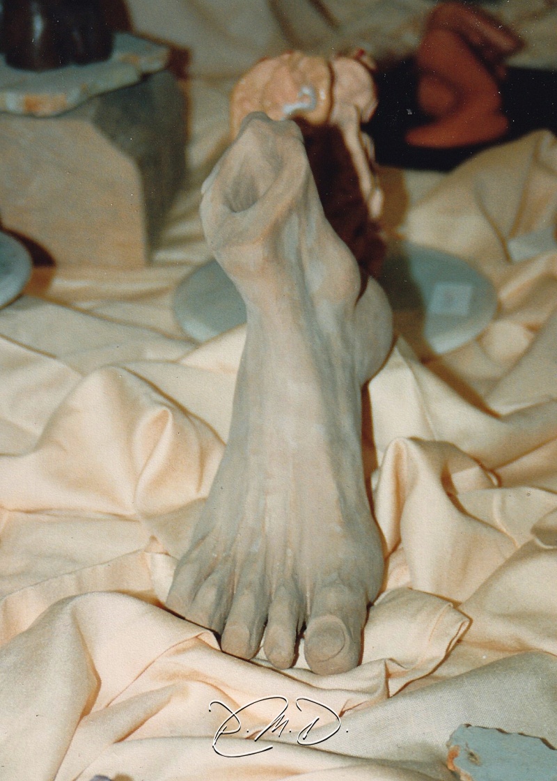 Terre chamottée cuite