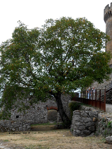 Visite privée du château de Foix un jour de pluie...