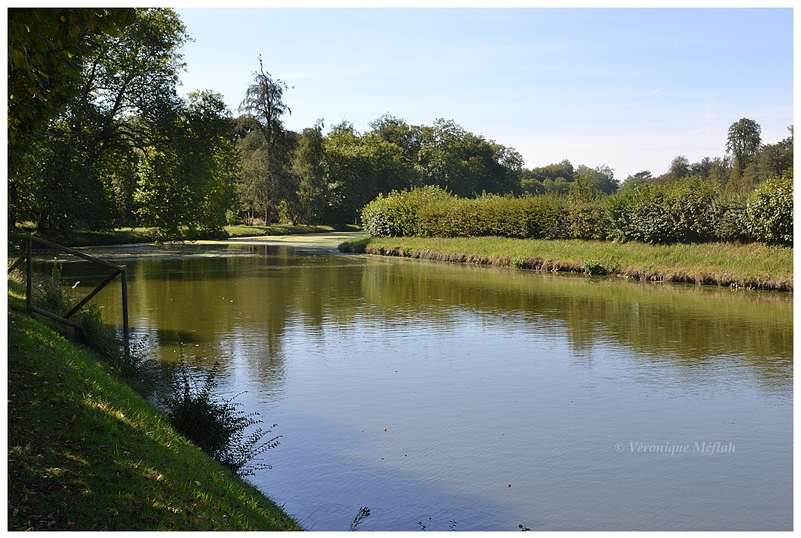 Rambouillet : Les oies du Parc du Château