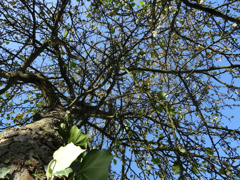 Un coin de ciel bleu dans ce monde de brute  !