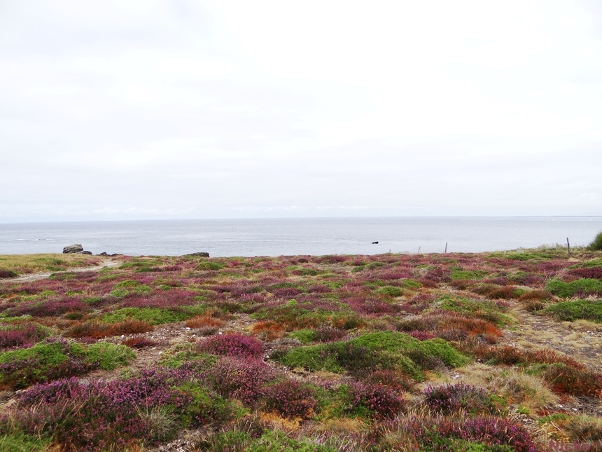 Belle-Ile -en mer,