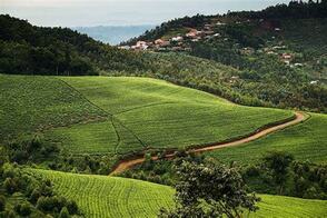 Sur les routes du Rwanda – De Kigali au Parc des Volcans - Voyageurs du ...