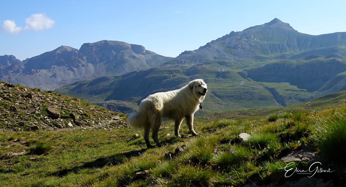 Une journée d'Août en montagne