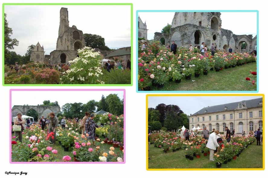 fleurs abbaye-1