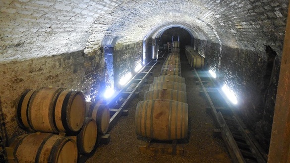 Vins de Bourgogne, Fontenay-près-Chablis, Epineuil (89)